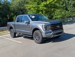 2023 F-150 Thumbnail 50