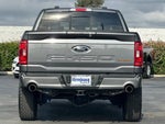 2023 F-150 Thumbnail 5