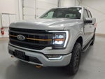 2023 F-150 Thumbnail 7