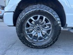 2023 F-150 Thumbnail 10