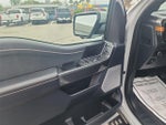 2023 F-150 Thumbnail 19