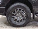 2023 F-150 Thumbnail 13