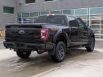 2023 F-150 Thumbnail 6