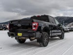 2023 F-150 Thumbnail 5