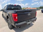 2023 F-150 Thumbnail 10