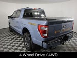 2023 F-150 Thumbnail 7