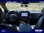 2023 F-150 Thumbnail 20