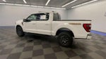 2023 F-150 Thumbnail 6