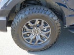 2023 F-150 Thumbnail 9