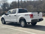 2017 F-150 Thumbnail 5