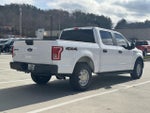 2017 F-150 Thumbnail 7