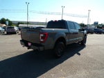 2023 F-150 Thumbnail 7