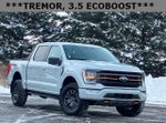 2023 F-150 Thumbnail 1
