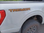 2023 F-150 Thumbnail 2