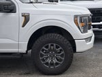 2023 F-150 Thumbnail 6