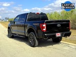 2023 F-150 Thumbnail 8