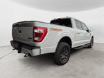 2023 F-150 Thumbnail 4