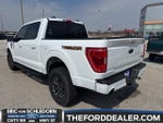 2023 F-150 Thumbnail 5