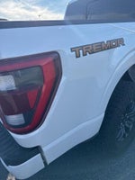 2023 F-150 Thumbnail 19