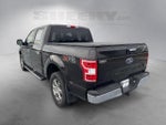 2020 F-150 Thumbnail 12