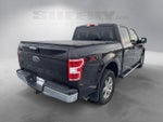 2020 F-150 Thumbnail 14