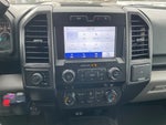 2020 F-150 Thumbnail 5