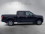 2020 F-150 Thumbnail 10