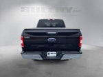 2020 F-150 Thumbnail 13