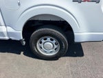 2023 F-150 Thumbnail 8