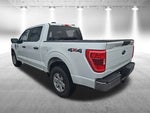 2023 F-150 Thumbnail 6