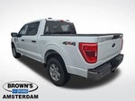 2023 F-150 Thumbnail 8