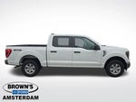 2023 F-150 Thumbnail 12