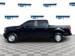 2020 F-150 Thumbnail 8