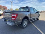2021 F-150 Thumbnail 6
