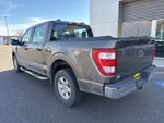 2021 F-150 Thumbnail 9