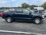 2021 F-150 Thumbnail 3
