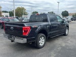 2021 F-150 Thumbnail 5