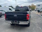 2021 F-150 Thumbnail 6