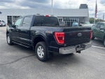 2021 F-150 Thumbnail 8