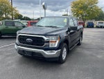2021 F-150 Thumbnail 12