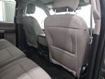 2020 F-150 Thumbnail 14