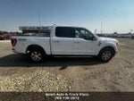 2021 F-150 Thumbnail 5