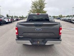 2018 F-150 Thumbnail 5