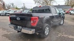 2021 F-150 Thumbnail 9