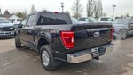2021 F-150 Thumbnail 11