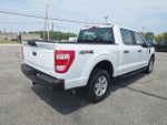 2021 F-150 Thumbnail 6