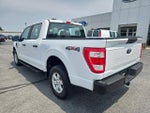 2021 F-150 Thumbnail 8