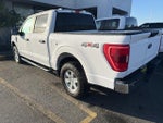2021 F-150 Thumbnail 3