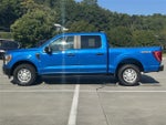 2021 F-150 Thumbnail 4