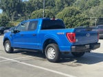 2021 F-150 Thumbnail 5